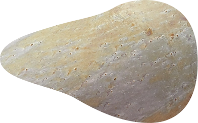 charlier-image-1